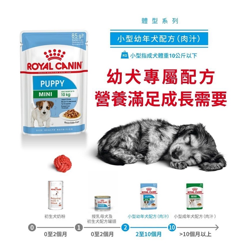 Royal Canin 法國皇家 狗濕糧 小型幼犬營養主食濕糧 (肉汁) 85g (圖片3)
