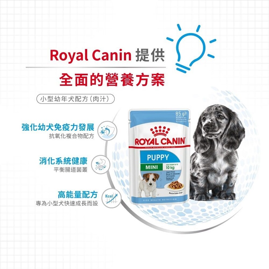 Royal Canin 法國皇家 狗濕糧 小型幼犬營養主食濕糧 (肉汁) 85g (圖片4)