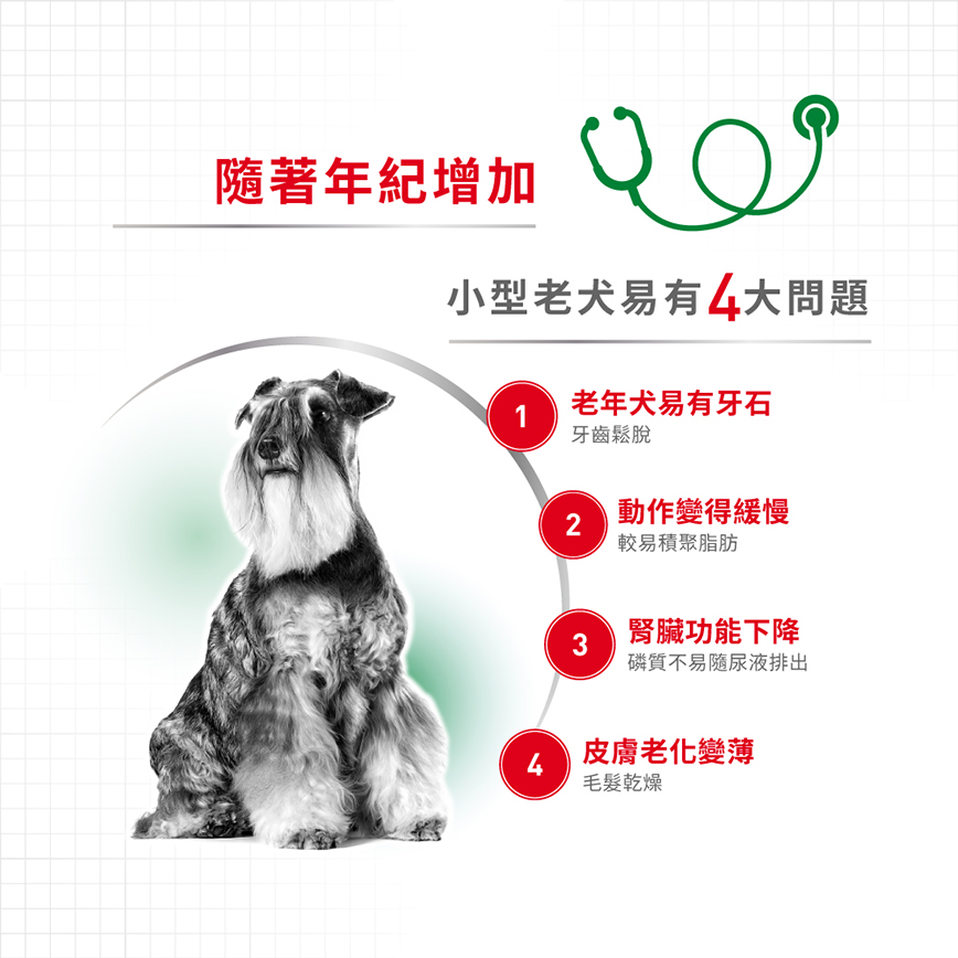 Royal Canin 法國皇家 狗濕糧 小型老犬8+營養主食濕糧 (肉汁) 85g (圖片3)