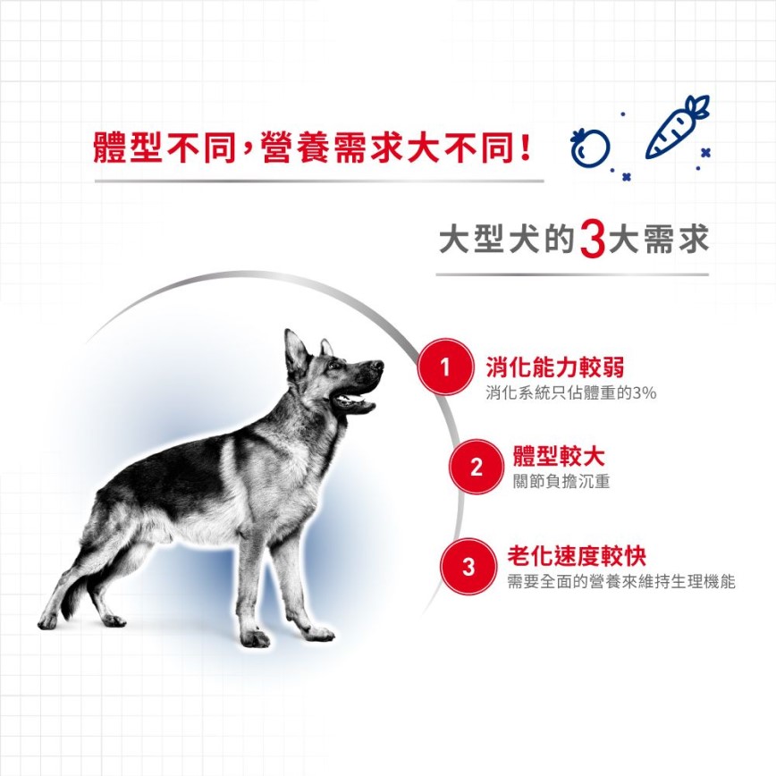 Royal Canin 法國皇家 狗濕糧 成犬營養主食濕糧(肉汁) 15個月大至8歲 140g (2701300/4020401) (圖片5)