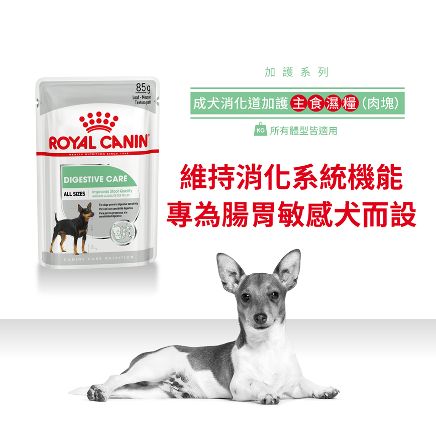 Royal Canin 法國皇家 狗濕糧 成犬消化道加護主食濕糧 (肉塊) 85g (圖片3)
