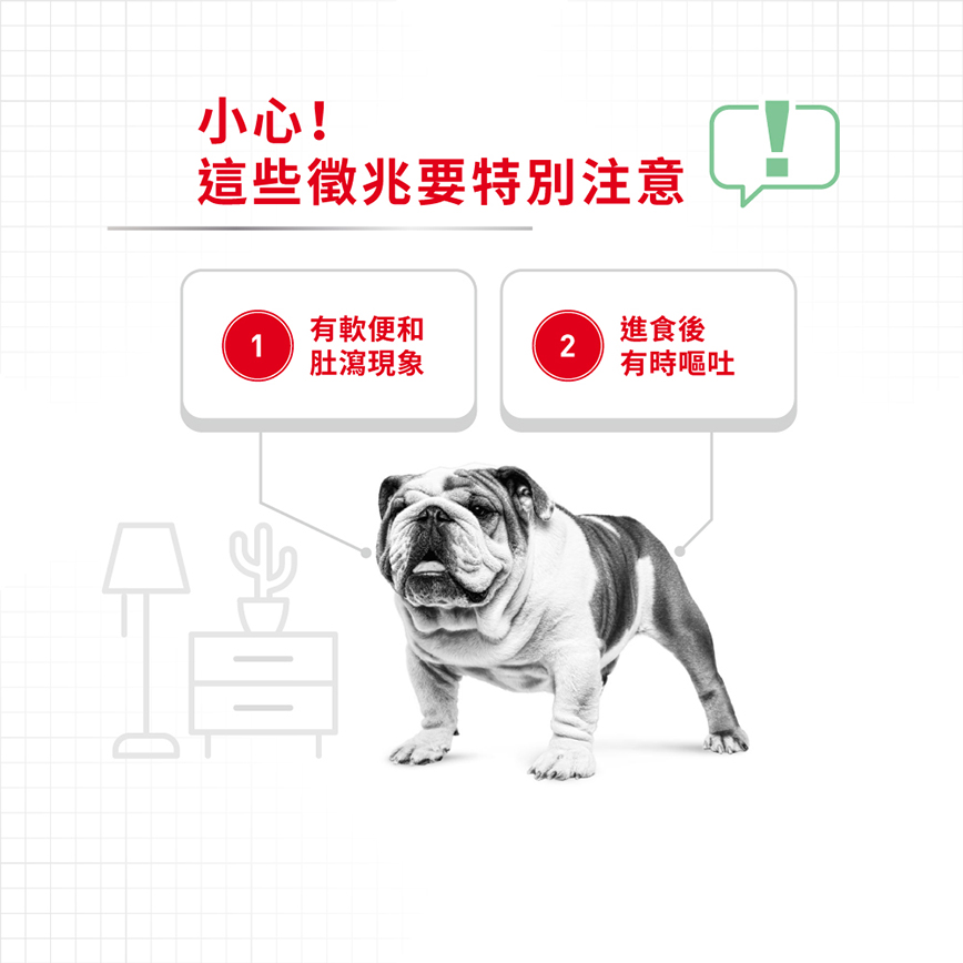 Royal Canin 法國皇家 狗濕糧 成犬消化道加護主食濕糧 (肉塊) 85g (圖片4)