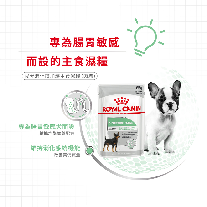 Royal Canin 法國皇家 狗濕糧 成犬消化道加護主食濕糧 (肉塊) 85g (圖片5)