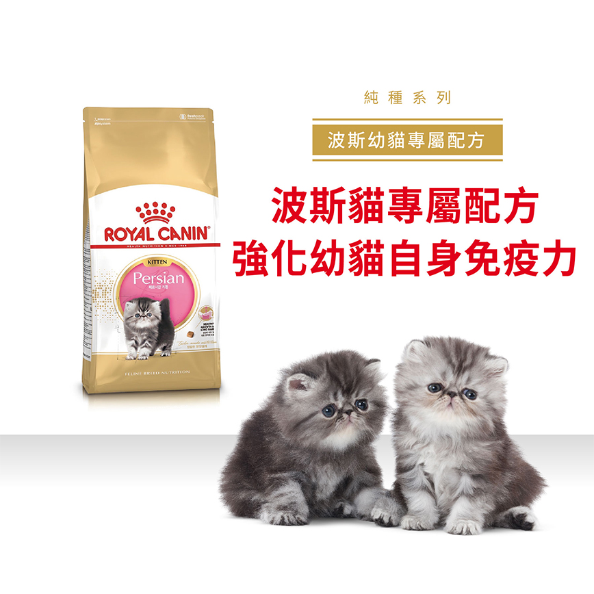 Royal Canin 貓糧 法國皇家貓糧 純種系列 波斯幼貓專屬配方 KPS32 2kg (2554020011) (圖片3)