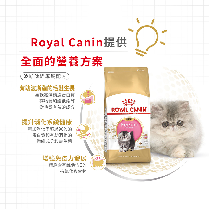 Royal Canin 貓糧 法國皇家貓糧 純種系列 波斯幼貓專屬配方 KPS32 2kg (2554020011) (圖片4)