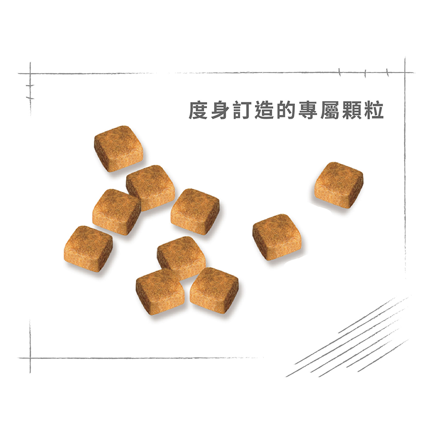 Royal Canin 貓糧 法國皇家貓糧 純種系列 波斯幼貓專屬配方 KPS32 2kg (2554020011) (圖片5)