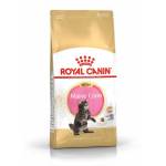 Royal Canin法國皇家 貓糧 純種系列 緬因幼貓專屬配方 KMCO 10kg (2521100) 貓糧 貓乾糧 Royal Canin 法國皇家 寵物用品速遞