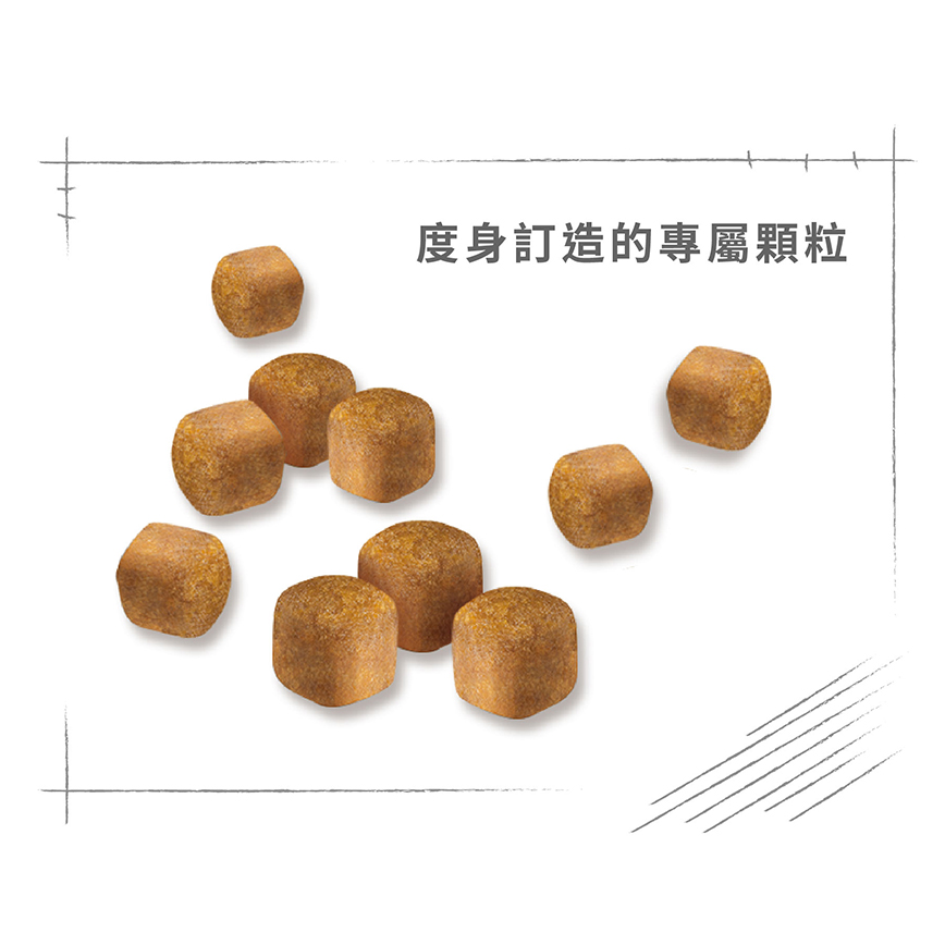 Royal Canin 貓糧 法國皇家貓糧 純種系列 緬因幼貓專屬配方 KMCO 10kg (2521100) (圖片6)