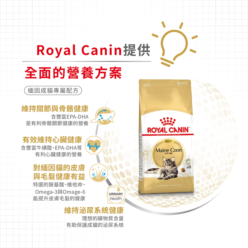 Royal Canin 法國皇家 純種系列 緬因成貓配方 MCO 2kg (2550020010) (圖片5)