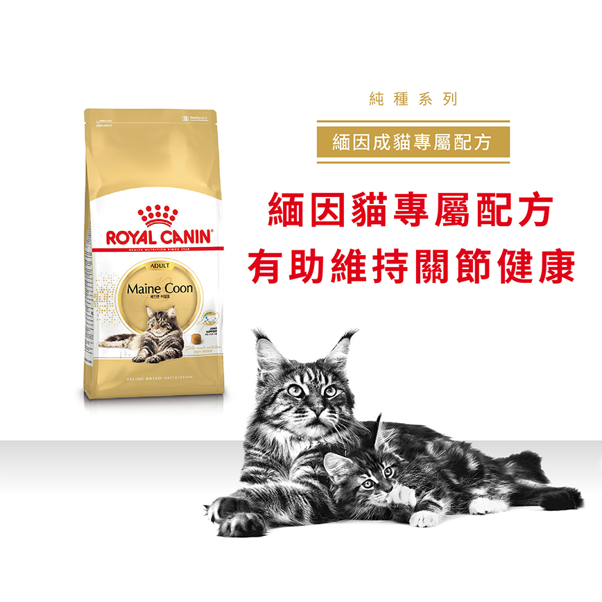 Royal Canin 貓糧 法國皇家貓糧 純種系列 緬因成貓專屬配方 10kg (2550100010) (圖片3)