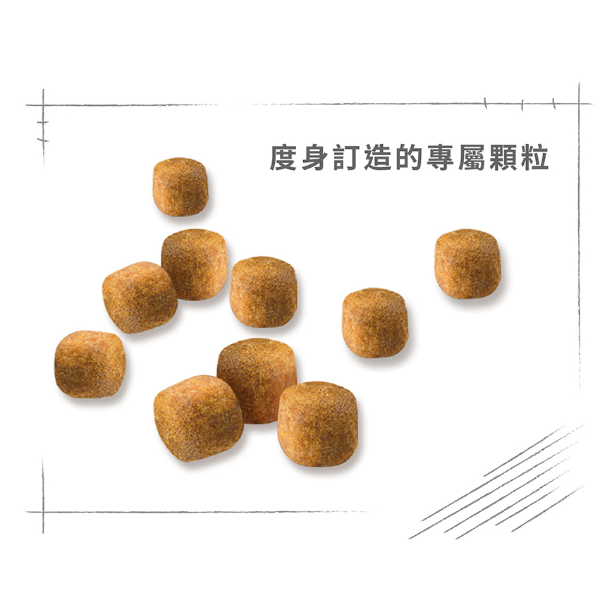 Royal Canin 貓糧 法國皇家貓糧 純種系列 緬因成貓專屬配方 10kg (2550100010) (圖片4)