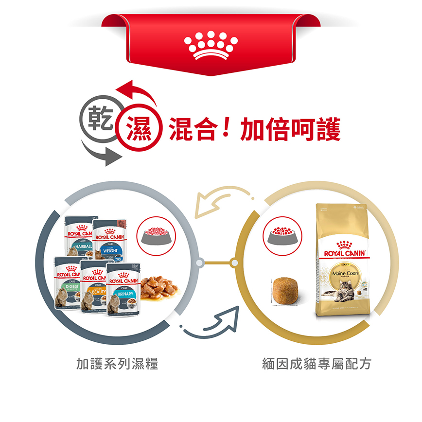 Royal Canin 貓糧 法國皇家貓糧 純種系列 緬因成貓專屬配方 10kg (2550100010) (圖片6)