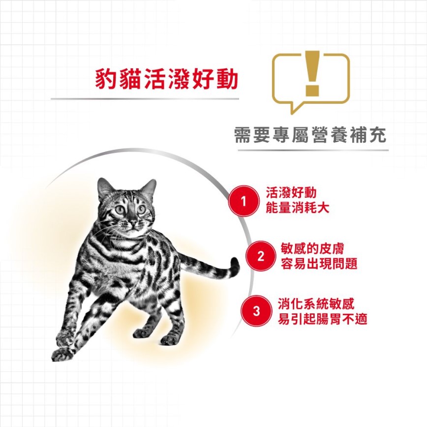 Royal Canin 貓糧 法國皇家貓糧 純種系列 豹貓成貓專屬配方 BEN40 10kg (2376600) (圖片4)