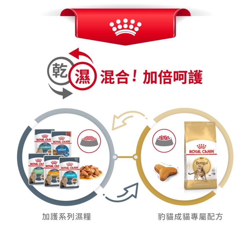 Royal Canin 貓糧 法國皇家貓糧 純種系列 豹貓成貓專屬配方 BEN40 10kg (2376600) (圖片7)