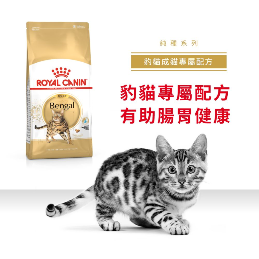 Royal Canin 貓糧 法國皇家貓糧 純種系列 豹貓成貓專屬配方 BEN40 2kg (2365900) (圖片3)