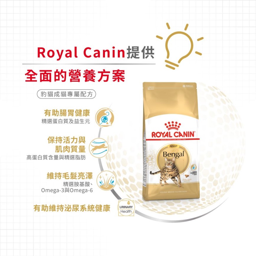 Royal Canin 貓糧 法國皇家貓糧 純種系列 豹貓成貓專屬配方 BEN40 2kg (2365900) (圖片5)