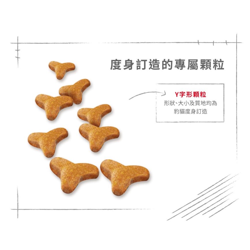 Royal Canin 貓糧 法國皇家貓糧 純種系列 豹貓成貓專屬配方 BEN40 2kg (2365900) (圖片6)