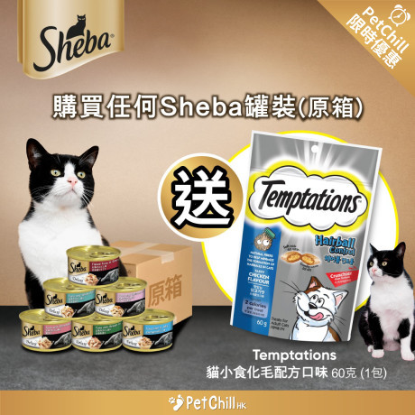 買 Sheba 貓罐頭原箱 24 件送 Temptations 貓零食